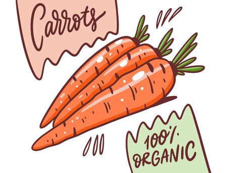 Carrots poster. 100 organic product. Vector illustration. Cartoon style. Isolated on white background.のイラスト素材