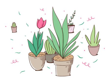 Tulip and green plants in pots. Vector illustration in cartoon style. Isolated on white background. Design for potser, banner, web.のイラスト素材