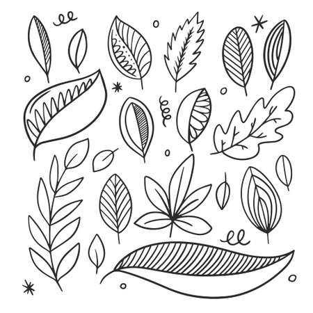 Autumn leaves set. Black line art. Hand drawn sketch.のイラスト素材