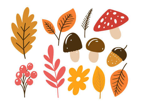 Autumn hand drawn colorful elements set. Fall signs and symbols icons.のイラスト素材