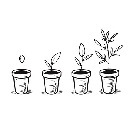 Planting in home pot black color cartoon style sketch vector art illustration.のイラスト素材