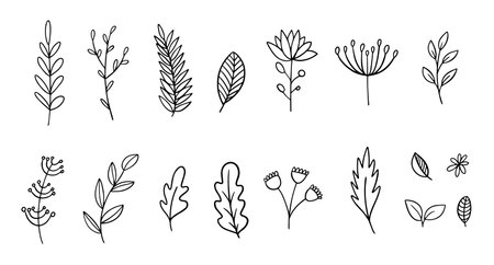 Hand drawn line art black color branch floral set.のイラスト素材