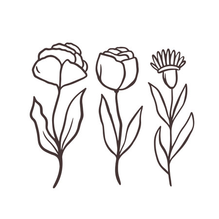Hand drawn line art minimalist flowers set.のイラスト素材
