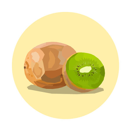 kiwi fruit illustration, yellow circleのイラスト素材