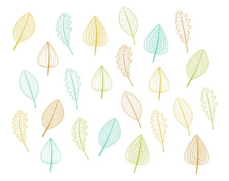 outline tender leafs decor in colorのイラスト素材