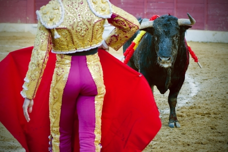 The bull stares at the torero during a bullfight in Madrid  Plaza de Toros de las Ventas  Spainの写真素材