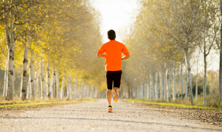 back view of young sport man with strong calves muscle running outdoors in off road trail track with trees under Autumn sunlight in fitness, countryside training and healthy lifestyle conceptの写真素材