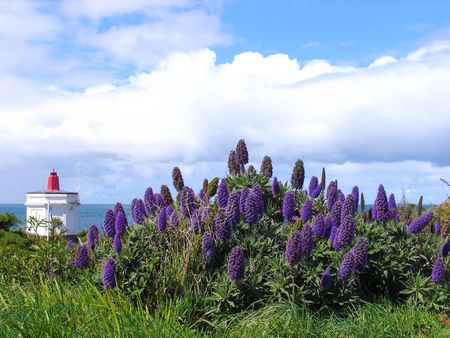 Lighthouse At Beachの写真素材