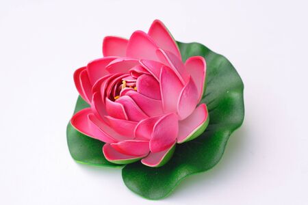 Artificial Lotus flowerの写真素材