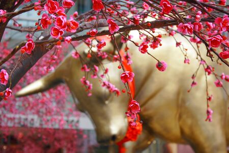 Gold Oxの写真素材