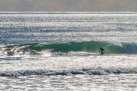 surf wave swell
