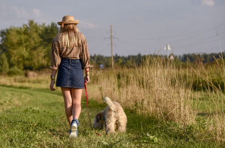 Girl and dog Irish wheat soft-coated Terrier go on a country road under the rays of sunset in the summer fieldの写真素材