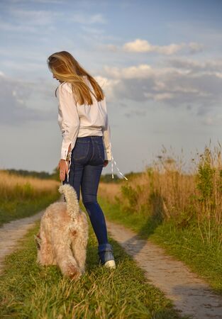 A girl with long blonde hair hugging a shaggy dog on a bright sky background natureの写真素材