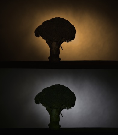 Cabbage broccoli on black background double image isolate shadowの写真素材