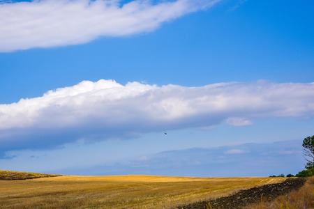 landscape Yellow field of mown grass blue sky and cloudsの写真素材