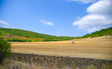 landscape Yellow field of mown grass blue sky and cloudsの写真素材