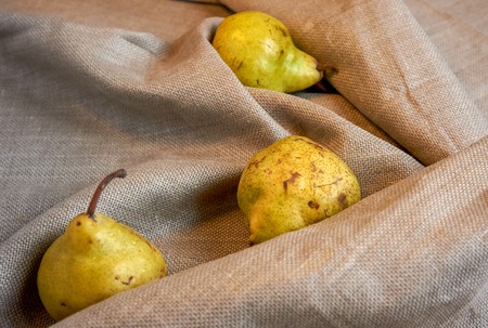 Three yellow-green pears lie on gray tissue.の写真素材