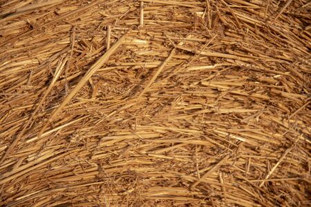 A small fragment of a haystack.background or wallpaper.の写真素材