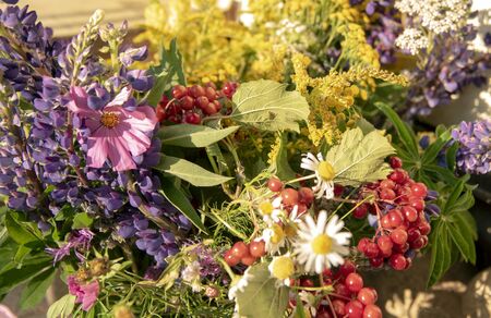 Bright autumn bouquet of flowers and berries.Floral background.Fragment of bouquet.の写真素材