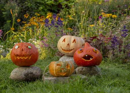 Four smiling Halloween pumpkins stand on rocksの写真素材