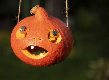 Bright orange Halloween pumpkin, carved with his own hands, suspended on ropes, on a blurred backgroundの写真素材