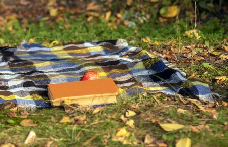On the ground, strewn with yellow leaves, lies a woolen blanket.On it is a book and an Apple.の写真素材
