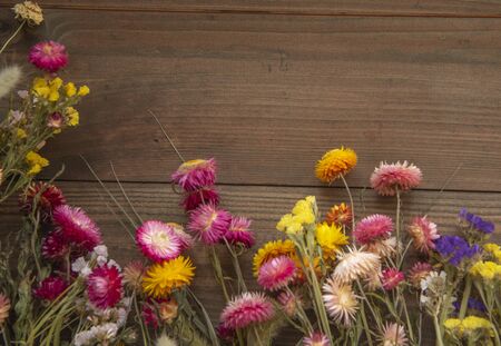 Frame of bright dried flowers on a rough wooden background. Space for text, overhead, flat lay.の写真素材