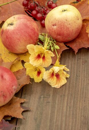 Apples, berries, bright autumn leaves and flowers on a wooden background.の写真素材