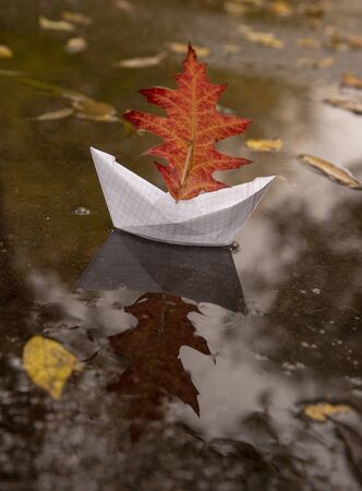 A paper boat floats in a puddle, an oak red leaf instead of a sail, around the fallen autumn leaves lie.の写真素材