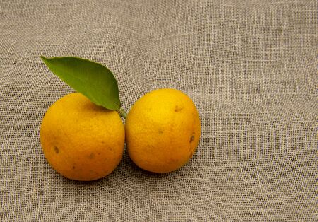 Two bright orange tangerines with green leaves on a coarse cloth.の写真素材
