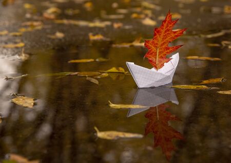 A paper boat made from a notebook sheet floats in a puddle, instead of a sail it has a red oak autumn leaf.の写真素材