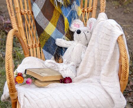 Blankets, a book and a soft toy mouse lie on a wicker rocking chair against a dull autumn landscape.の写真素材