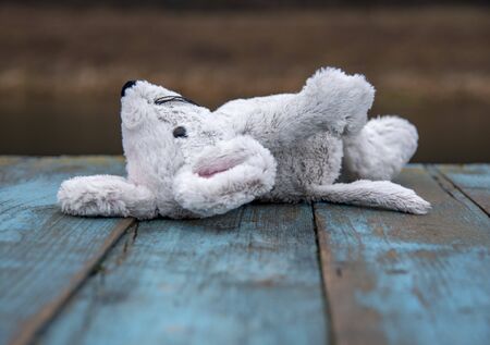 Soft toy mouse lies forgotten on a bench.の写真素材
