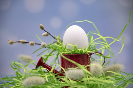 One white egg stands on a small red watering can as on a stand in the green grass on a blurred background.の写真素材