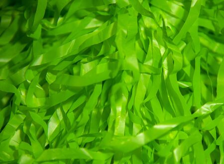 Abstract bright green background made of thin ribbons.