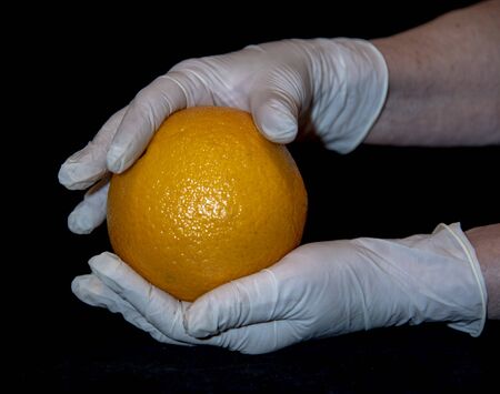 The hands of an elderly woman in white rubber gloves hold a large bright orange orange. On black background.の写真素材