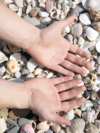 Strong male hands against the background of sea stones and shells.の写真素材