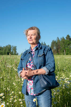 An elderly 65-year-old woman in a denim suit stands in a chamomile field, illuminated by the sun.の写真素材