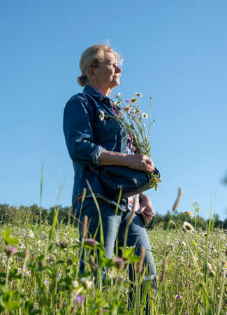An elderly 65-year-old woman in a denim suit stands in a chamomile field.の写真素材