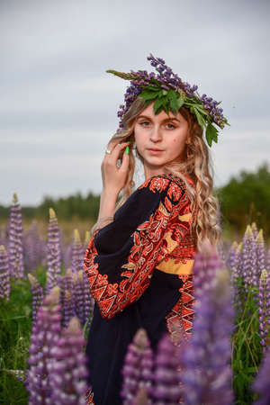 A charming blonde girl with long wavy hair poses in a field with bright lupines.の写真素材