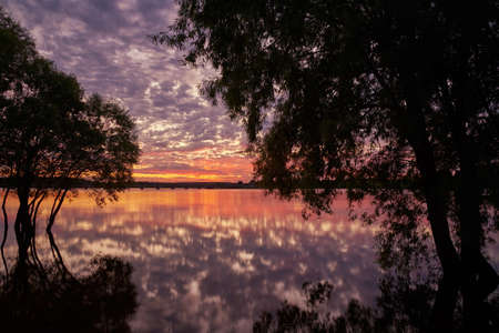 Black silhouettes of trees against a bright fantastic sunset. The bridge divides the image in half. The photo was taken using a long shutter speed.Focus on the background.の写真素材