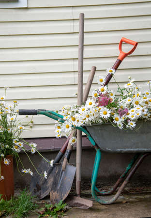 Garden tools and a wheelbarrow full of flowers stand against the wall of the house.の写真素材