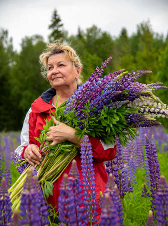 An older woman stands with a huge bouquet of bright lupins.の写真素材