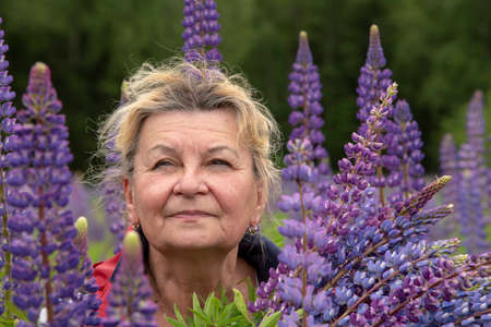 A large portrait of an elderly woman framed by bright lupins.の写真素材