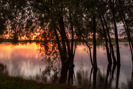 Dark silhouettes of trees against the background of the lake, which reflects the Golden sunset. Summer evening landscape.の写真素材