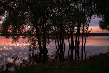 Black silhouettes of trees against the background of an incredible sunset over the lake. Evening summer landscape. The photo was taken using a long shutter speed.の写真素材