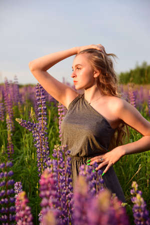 A blonde girl with long wavy hair in an elegant gray dress with an open shoulder poses in lupine fields.の写真素材