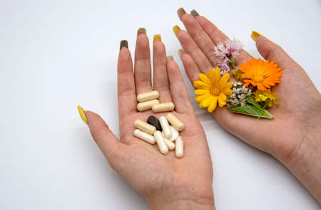 Two female hands on a light background. In one hand, capsules and tablets, in the other medicinal herbs. The concept of alternative medicine.の写真素材