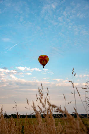 A bright Hot Air Balloons against a blue cloudy sky. In the foreground is blurred ears. Copy space for text.の写真素材