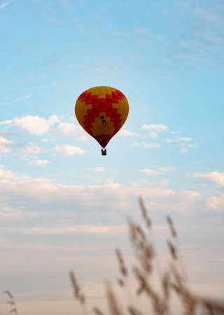 A bright Hot Air Balloons against a blue cloudy sky. In the foreground is blurred ears. Copy space for text.の写真素材
